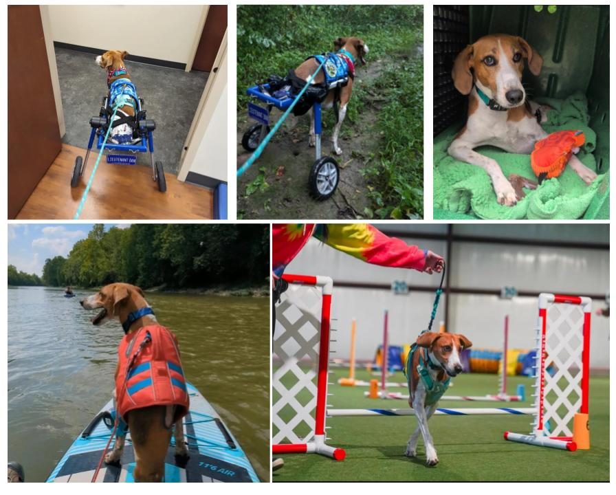 Lt. Dan COURTESY: Laura Person