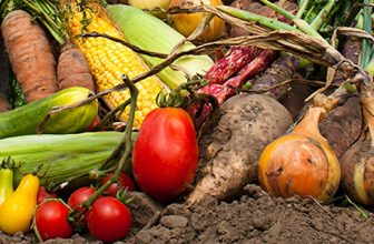 How to Celebrate Lughnasadh – 10 Fun and Easy Ways!