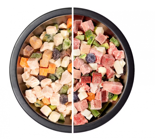 Maev human-grade raw dog food