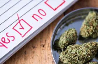 Mass. voters tricked by campaign to end legal cannabis sales urged to act