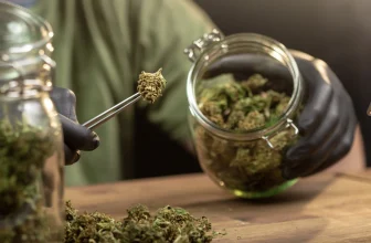 Bid to end Massachusetts adult-use cannabis sales claims another win