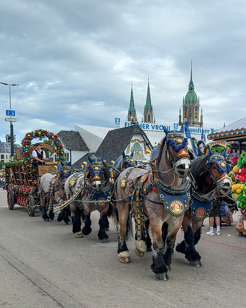 Draft horse team with a beer wagon at Oktoberfest