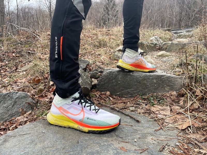 Nike Pegasus Trail 4 Gore-Tex