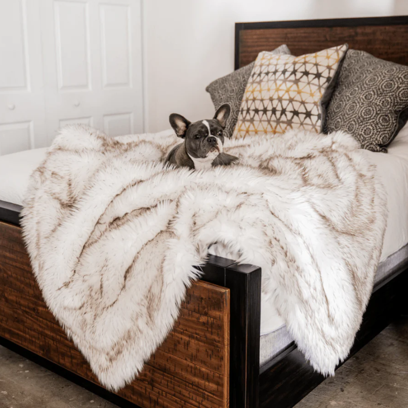 Paw.com PupProtector Waterproof Dog Blanket