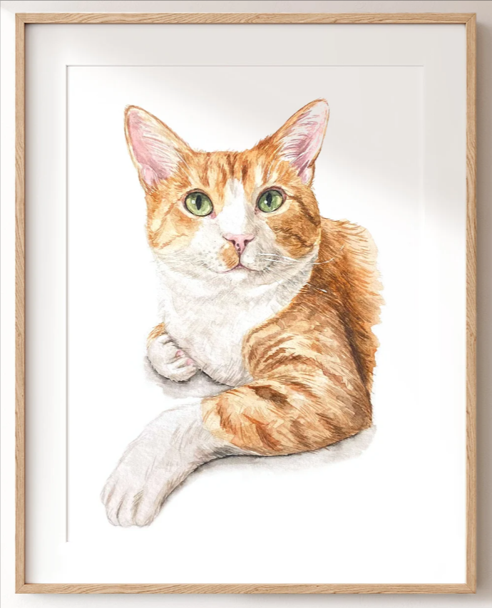 Pet Portrait Watercolor