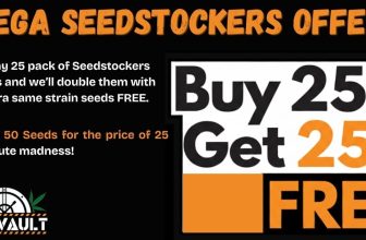 BOGOF Green Friday Exclusive on 25 Packs of Seedstockers Seeds