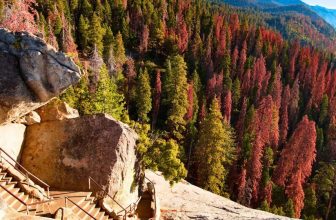 11 Places to See on a Road Trip from Yosemite to Sequoia National Park