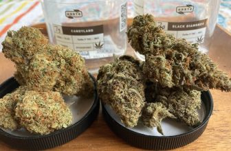 The Strongest THCa Strains Of 2025 | Mind-Blowing Highs