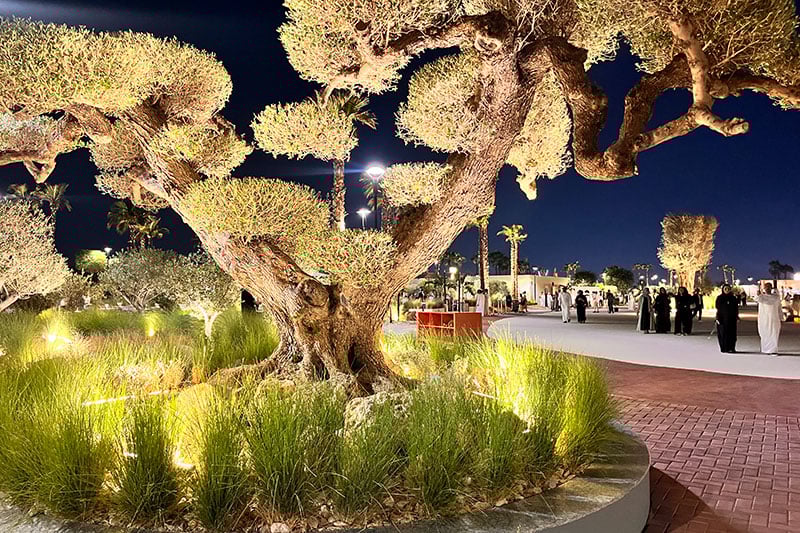 The Square Nad Al Sheba Gardens