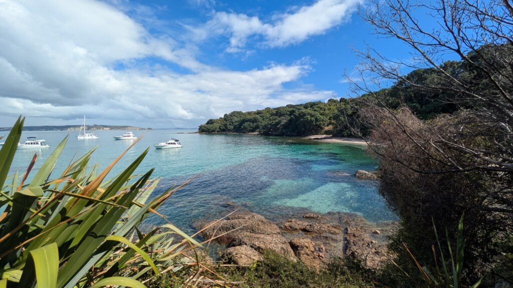 Tiritiri Matangi Island, New Zealand