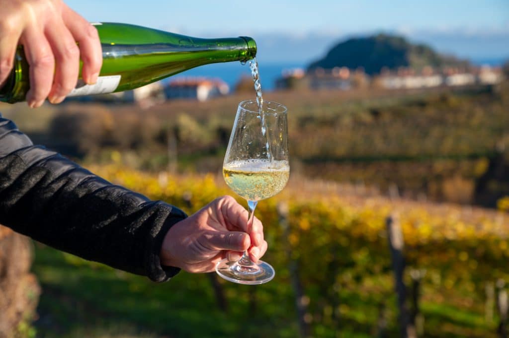 A man pouring a glass of sparkling white txakoli wine in a vineyard.