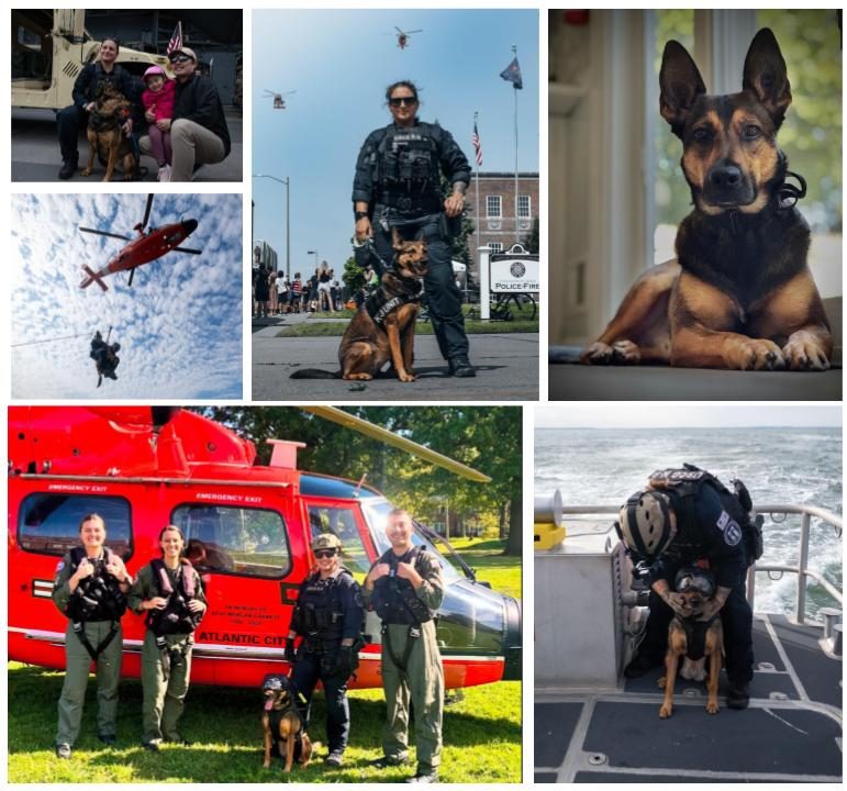 Ultra COURTESY: Alaina Whitaker