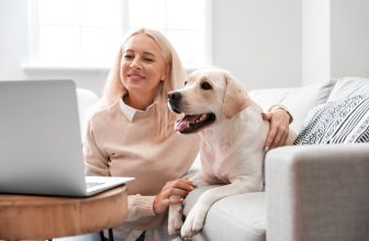 The 7 Best Online Vet Services for Dogs in 2025