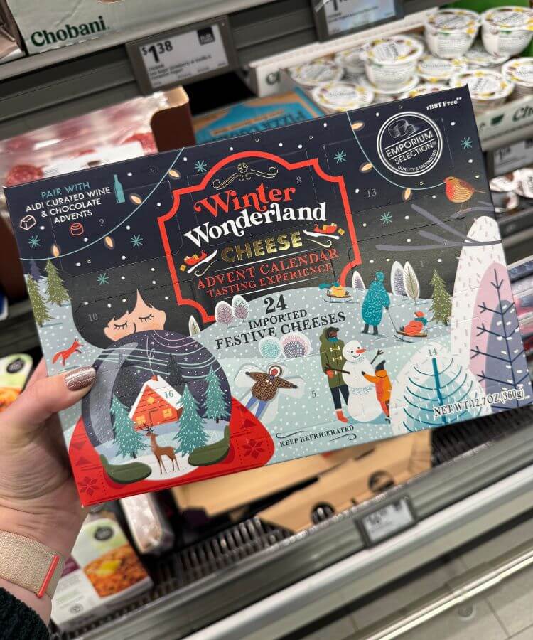 aldi holiday items