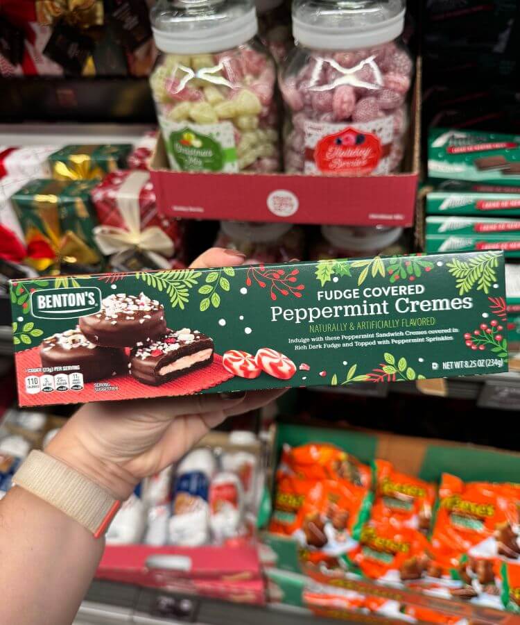 aldi holiday items