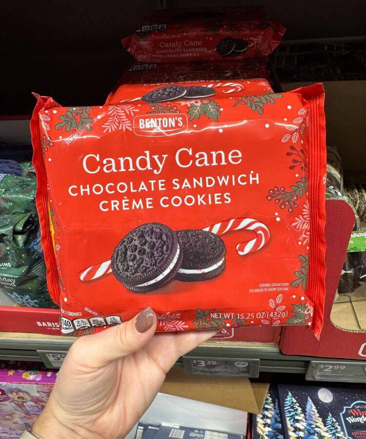 aldi holiday items
