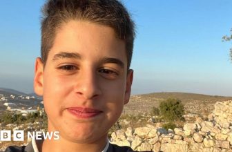 US-Palestinian teen freed after nine months in Israeli jail