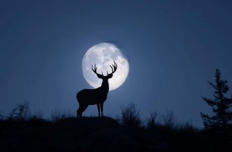 The Spiritual Meaning of the “Buck Full Moon” ✨
