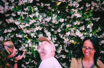 Stranger Suggests: Dead Bugs, One Decent Reason to Leave the House on Black Friday, and the Perfect Pie Crust