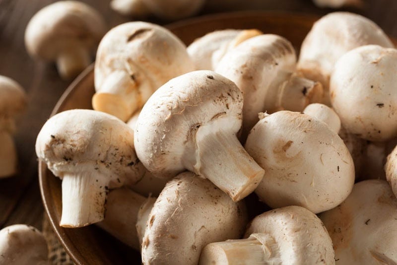 Closeup image of button mushrooms.