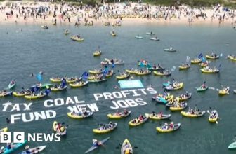 Climate protesters in kayaks disrupt operations at Australia port