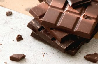 What Happens to Dogs After Eating Chocolate? Long-Term Health Risks Explained – Dogster