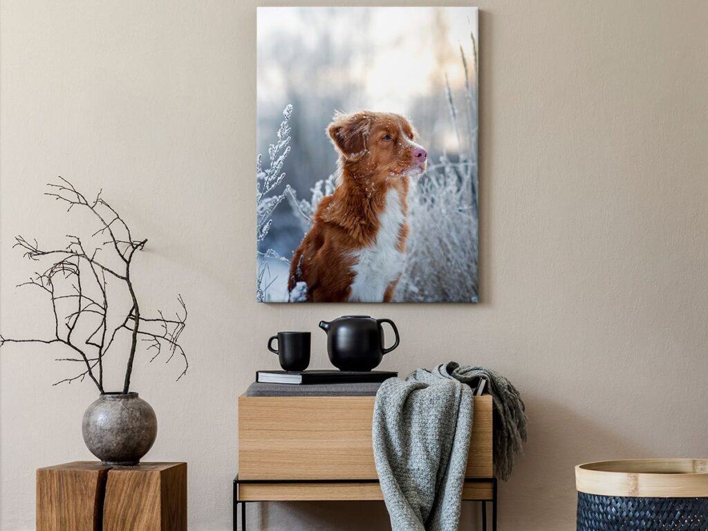 Canvas photo of a brown-and-white dog in a winter scene, styled above a console as part of a family memory wall.