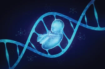 Pregnancy’s 100-million-year secret: Inside the placenta’s evolutionary power play