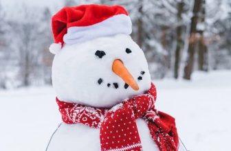 120 Funny Christmas Quotes for Your Friends, Family and Instagram (and Less Stress)