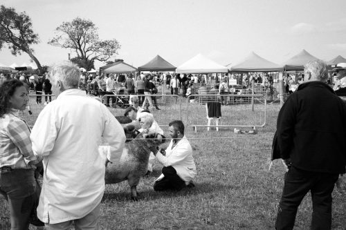 The cohort comprised 446 Irish farmers, recruited both online and through agricultural shows