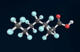 This tiny microbe may be the key to fighting forever chemicals