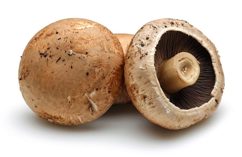 Portobello mushrooms on a white background.