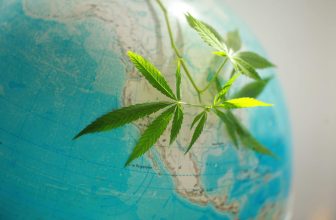 Everyone’s Cashing In on Legal Weed—Except America