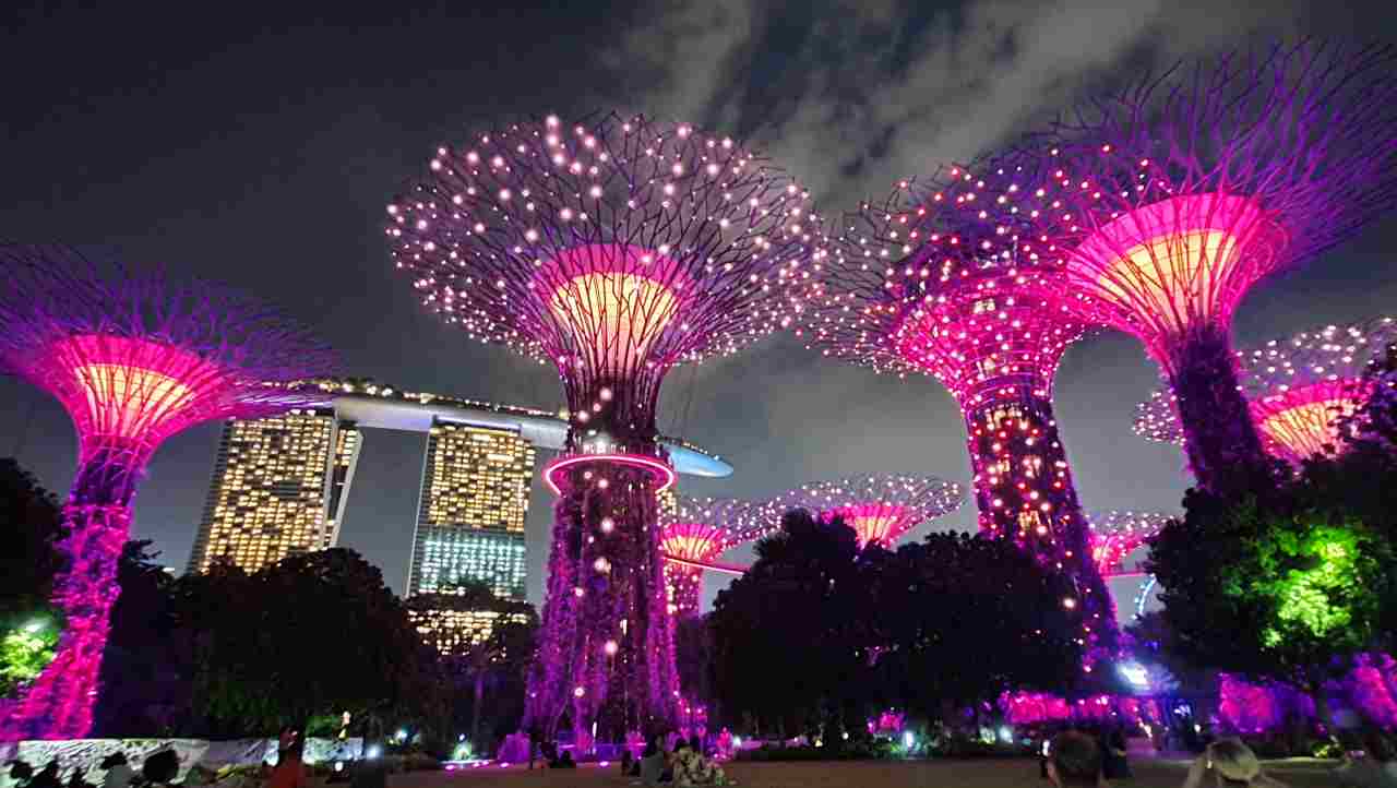 Supertree light show at Gardens By The Bay in Singapore