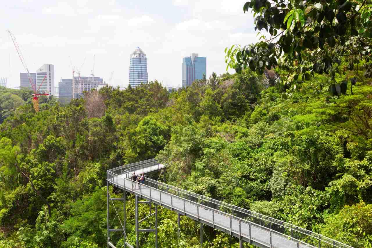 southern ridges canopy walk is part of the best singapore itinerary