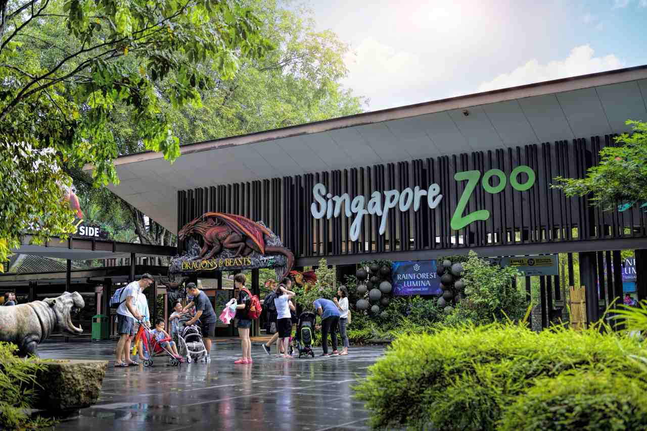 Singapore Zoo
