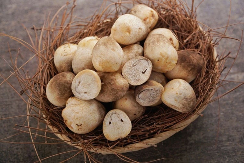 Straw Mushrooms in a basket.