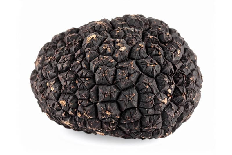 Closeup image of black truffle.