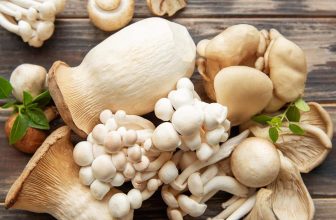Types Of Mushrooms: 30 Varieties With Pictures
