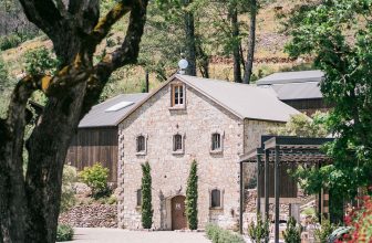 Wine 101: Mayacamas Vineyards | VinePair