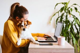 The 7 Best Online Vet Services for UK Pet Parents in 2025