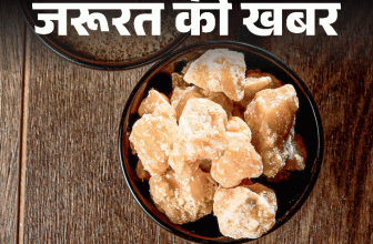 Winter Jaggery Health Benefits; Gud Khane Ke Fayde | Nutritional Facts | जरूरत की खबर- सर्दियों में गुड़ खाने के 11 फायदे: अगर डायबिटिक या ओबीज हैं तो न खाएं, डॉक्टर से जानें कितनी मात्रा सुरक्षित