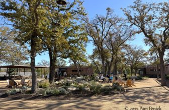 Leona Botanical Cafe & Bar offers patio-garden hangout