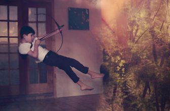 Evolution of Imagination…Explored!