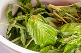 Special Brewing Ingredient: Basil | Craft Beer & Brewing
