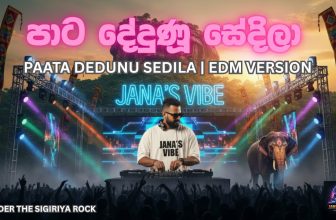 Pata Dedunu Sedila | පාට දේදුණූ සේදිලා | EDM Version | JaNaa
