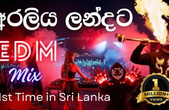 Araliya Landata Cover | අරලිය ලන්දට | EDM | 3 Versions Remix by REDA Music