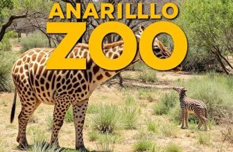Comprehensive Visitor Guide to the Amarillo Zoo