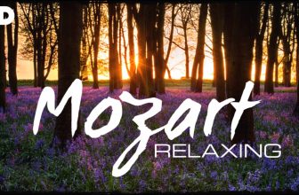 The Best Relaxing Classical Music Ever By Mozart – Relaxation Meditation Reading Focus