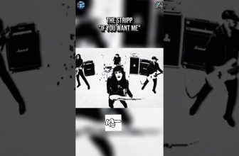 🎸🎤Nouveauté Rock:THE STRIPP “If You Want Me”